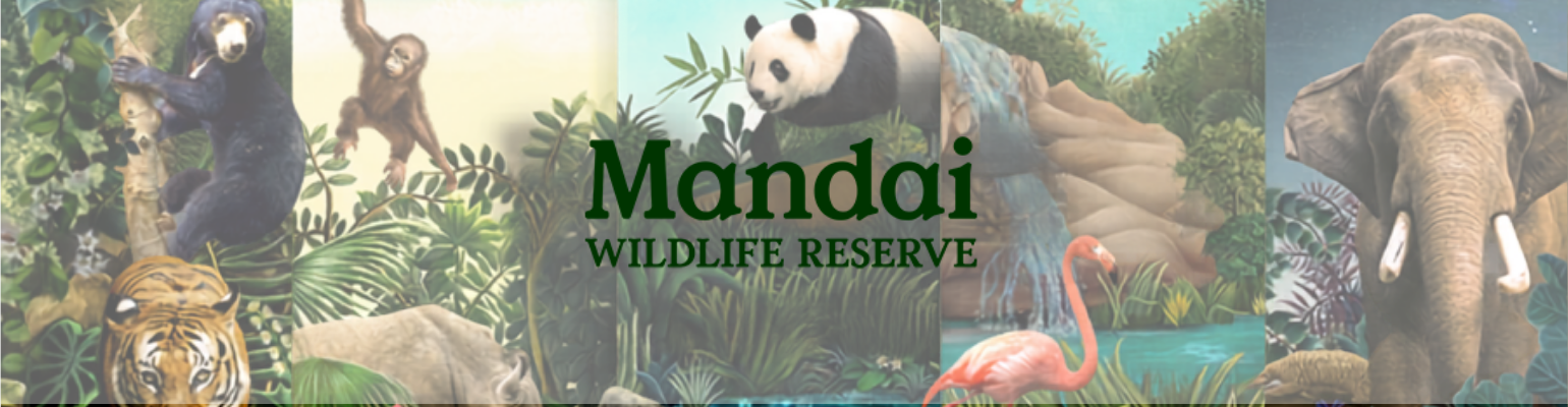 Mandai Wildlife Reserve 聯盟計畫