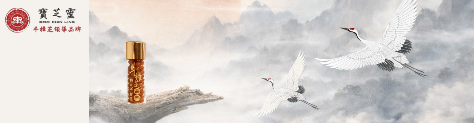 寶芝靈 Bao Chin Ling 聯盟計畫