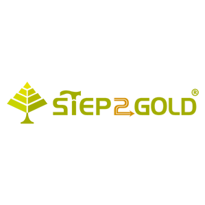 STEP2GOLD 泰達椅 臺灣