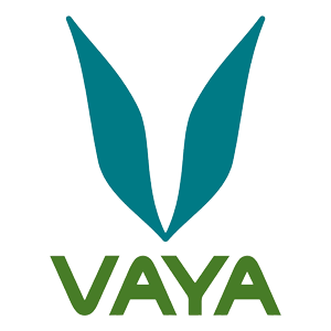 Vaya